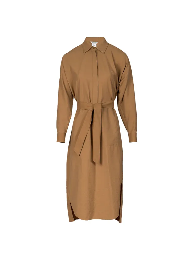 Max Mara Esule Dress