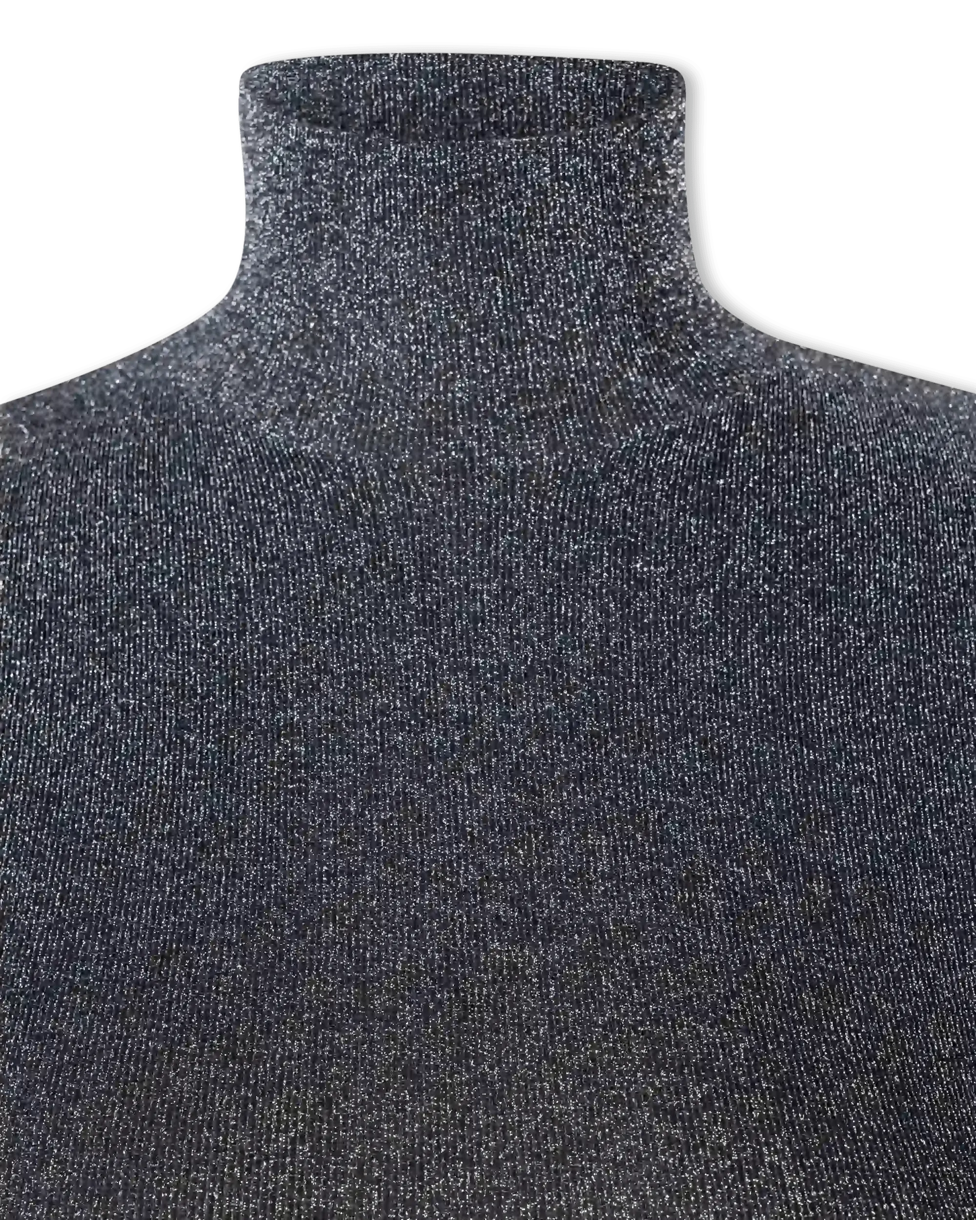 Metallic Lurex Ribbed Turtleneck