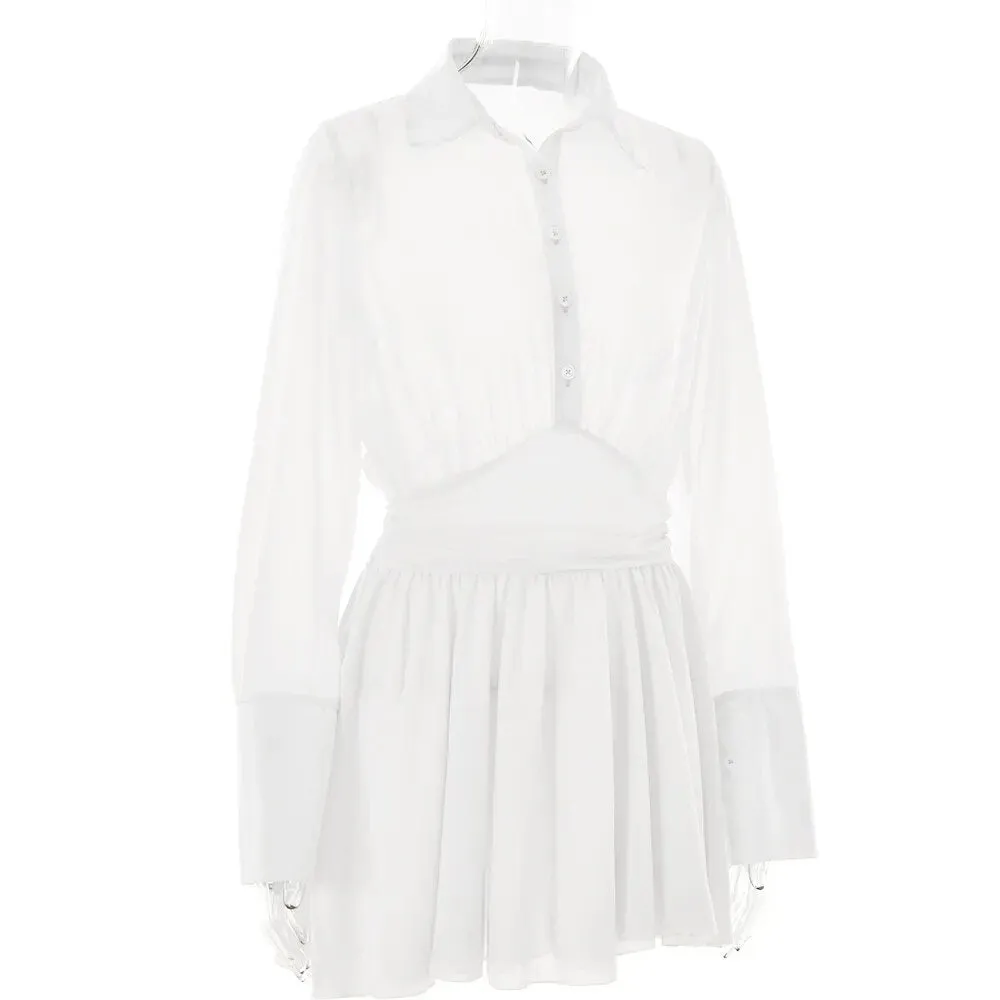 Sheer Collar Pleated Charming Shirt Mini Dress