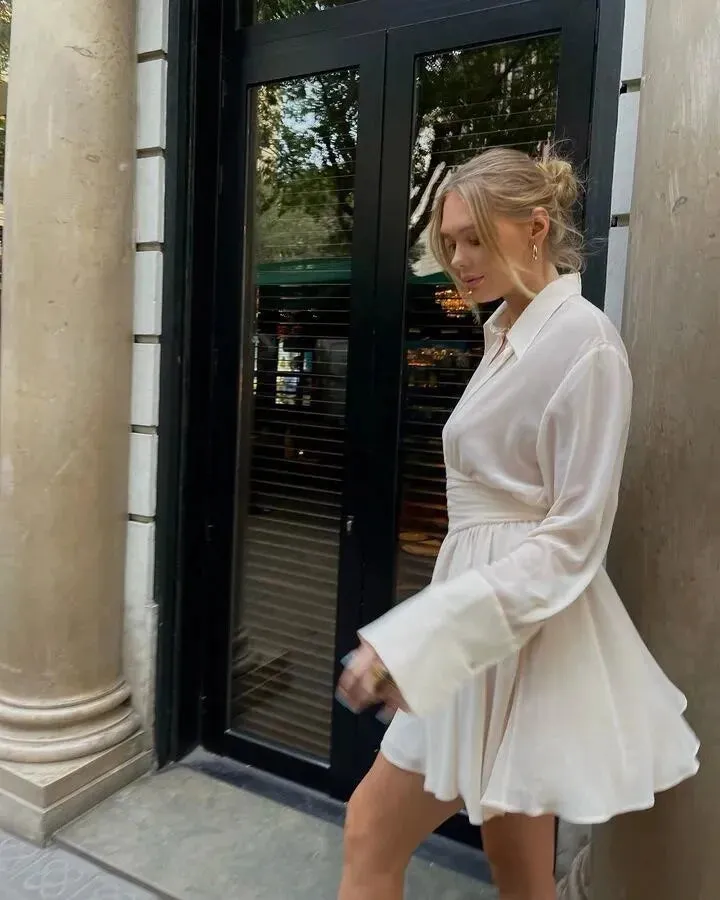 Sheer Collar Pleated Charming Shirt Mini Dress